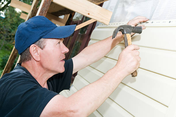 Best Stone Veneer Siding  in Woodbury, MN